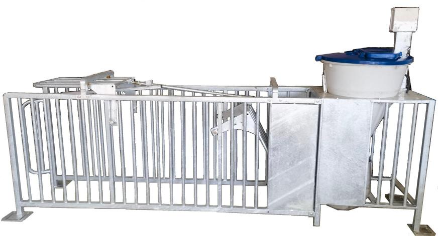 母猪猪小群体精准饲喂站EFS-1002型