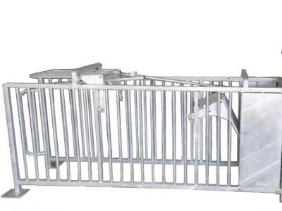 母猪猪小群体精准饲喂站EFS-1002型