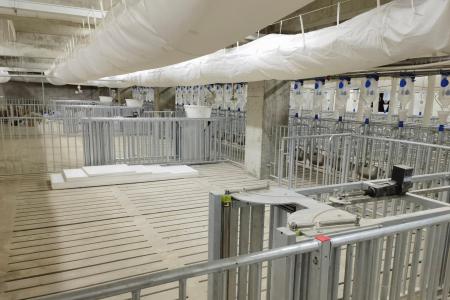 遂宁天穗集团楼房猪场