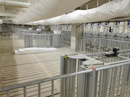 遂宁天穗集团楼房猪场