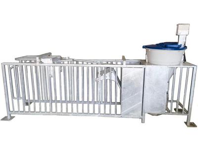 母猪猪小群体精准饲喂站EFS-1002型