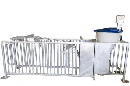 母猪猪小群体精准饲喂站EFS-1002型